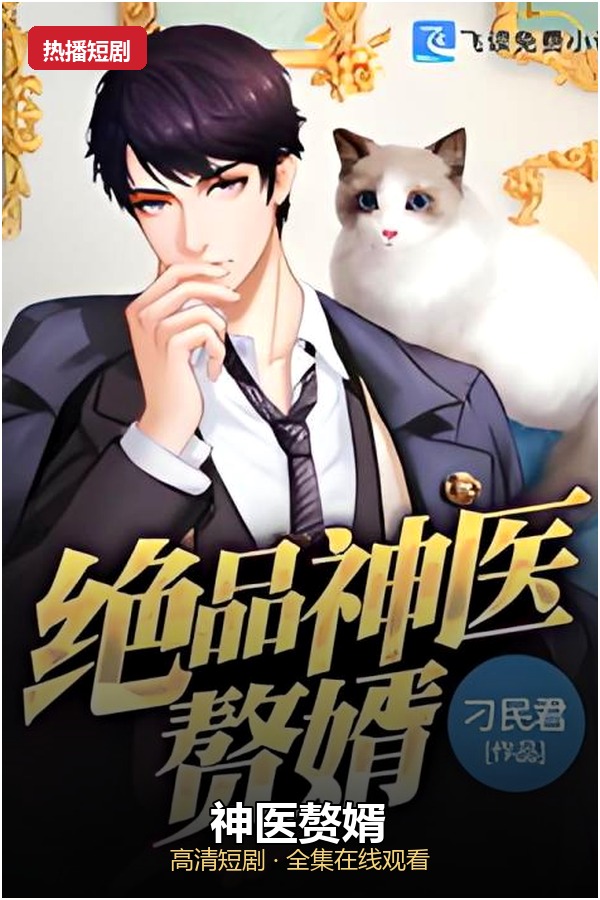 神医赘婿 高清海报